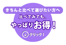 比べてみてもやっぱりお得