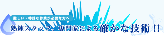 熟練スタッフ、専門家による確かな技術!!