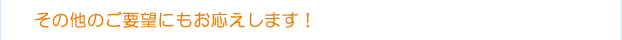 その他のご要望にもお応えします!
